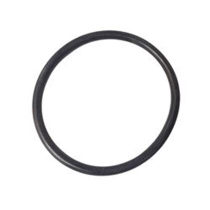 Picture of Waterway O-Ring 805-0226