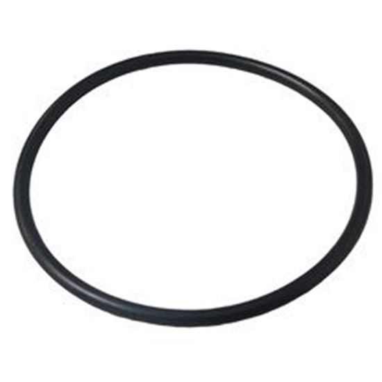 Picture of O-Ring, Union, Waterway, 2-1/2" 805-0232