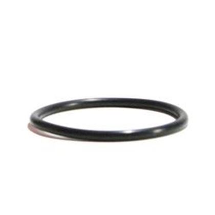 Picture of Gecko Aqua-Flo O-Ring 92200210