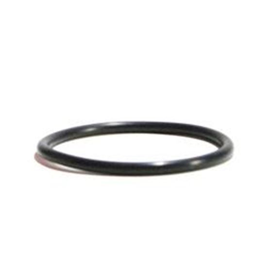 Picture of O-Ring, Pump Union, Aquaflo, 2-1/2"Id X 2-3/4"Od, 1/8" 92200210