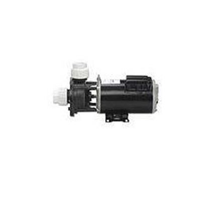 Picture of 3/4 Hp Gecko Aqua-Flo Fmcp Spa Pump 2 Speed 115V 02607000-1010