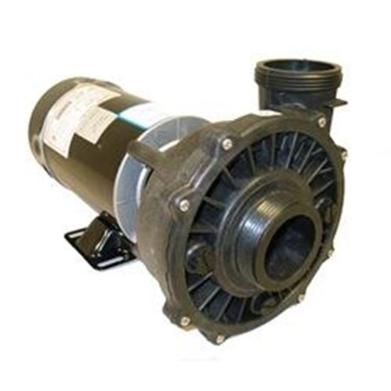 Picture of Pump Executive 48, 1.0HP, 115V, 11.0/2.9A, 2-Speed, 2"MBT, SD, 48-Frame 3420410-1A
