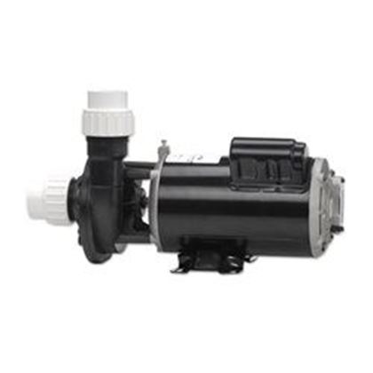 Picture of 1 Hp Gecko Aqua-Flo Fmhp Spa Pump 2 Speed 115V 02110000-1010