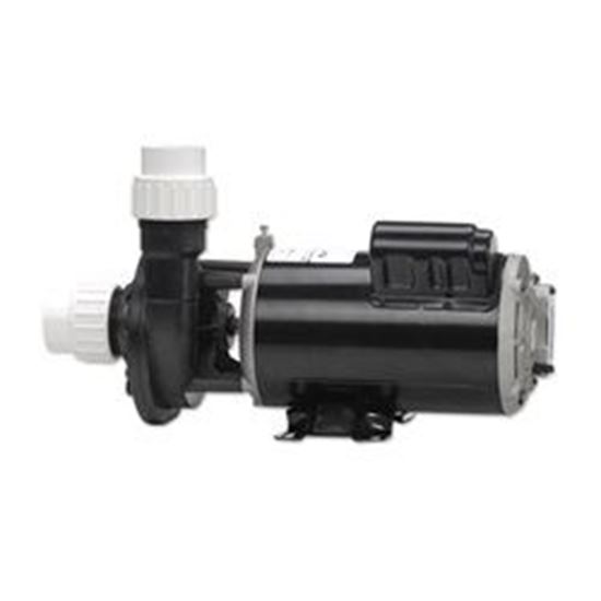 Picture of Pump Aqua-Flo Fmhp 1.0Hp Sd 48-Frame 2-Speed 115V 02110000-1010