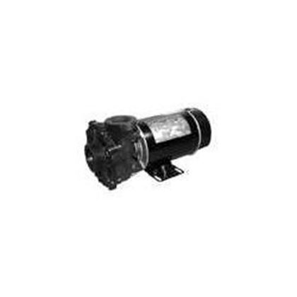 Picture of 1.5 Hp Waterway Hi-Flo Spa Pump 2 Speed 115V 3420610-10