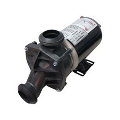 Picture of 1.5 Hp  Jacuzzi J Series Spa Pump 2 Speed 115V 2500-255