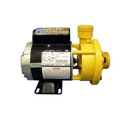 Picture of 1/15 Hp Waterway Iron Might Spa Pump 1 Speed 115V 3410030-1E