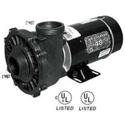 Picture of 2 Hp Waterway Executive Spa Pump 2 Speed 230V 3420820-1A