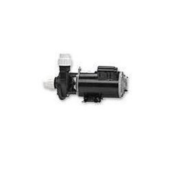 Picture of 2 Hp Gecko Aqua-Flo Fmhp Spa Pump 2 Speed 230V 02120000-1010
