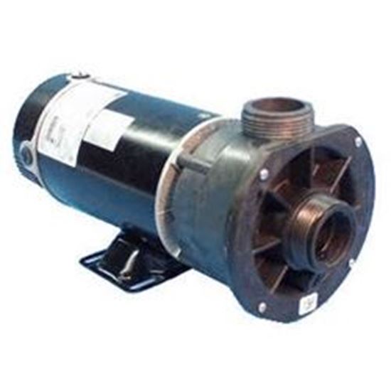 Picture of Pump: 2.0Hp 230V 60Hz 2-Speed 48 Frame 3420820-15