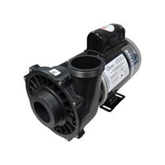 Picture of 2 Hp Waterway Executive Spa Pump 2 Speed 230V 3720821-13