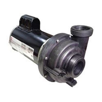 Picture of 2.5 Hp  Jacuzzi Theramax Spa Pump 1 Speed 230V 6500-341