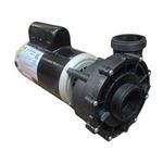 Picture of Pump Sundance Nb1 2.5Hp 230V 10.0 Amp 1-Speed 2" 6500-091