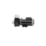 Picture of 2.5 Hp Gecko Aqua-Flo Fmxp2 Spa Pump 2 Speed 230V 06125000-1040