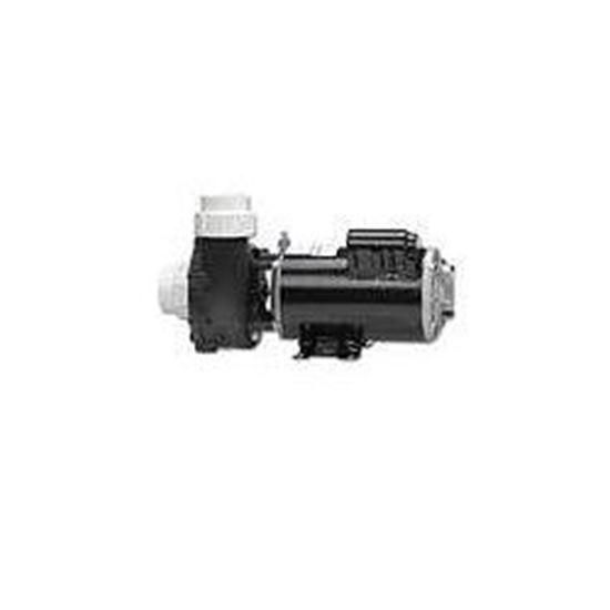 Picture of 2.5 Hp Gecko Aqua-Flo Fmxp2 Spa Pump 2 Speed 230V 06125000-1040