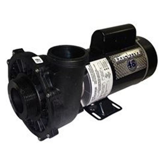 Picture of Pump Executive 48, 3.0HP, 230V, 8.5/2.8A, 2-Speed, 2-1/2" x 2"MBT, SD, 48-Frame 3421221-13
