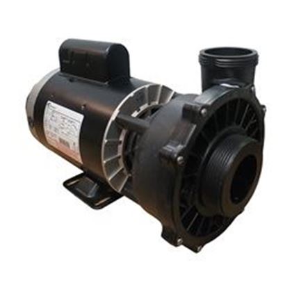 Picture of 3 Hp Waterway Executive Spa Pump 2 Speed 230V 3721221-13