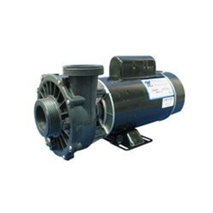 Picture of 3 Hp Waterway Executive Spa Pump 2 Speed 230V 3421221-1A