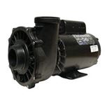 Picture of Pump Waterway Executive 56 3.0Hp 230V 10.0/3.4A 2- 3721221-1D