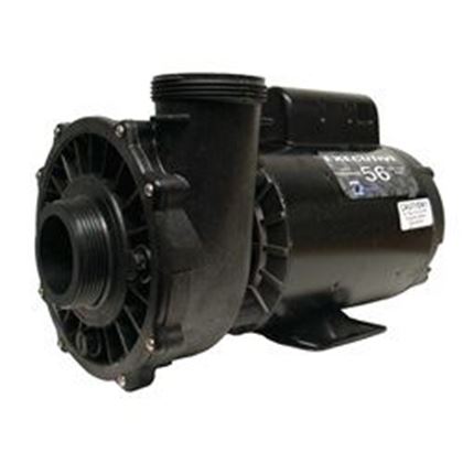 Picture of 3 Hp Waterway Executive Spa Pump 2 Speed 230V 3721221-1D