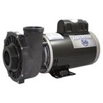 Picture of Pump Waterway Executive 56 4.0Hp 230V 12.0/4.4A 2- 3721621-13