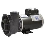 Picture of 4 Hp Waterway Executive Spa Pump 2 Speed 230V 3721621-13 (Me-40226-25)