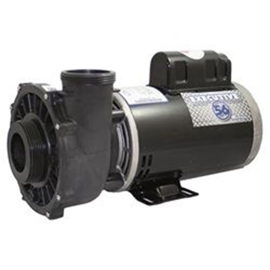 Picture of 4 Hp Waterway Executive Spa Pump 2 Speed 230V 3721621-13 (Me-40226-25)