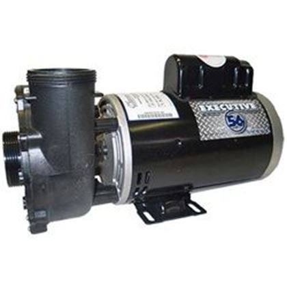 Picture of 4 Hp Waterway Executive Spa Pump 2 Speed 230V 3721621-1D (Me-40226-20)