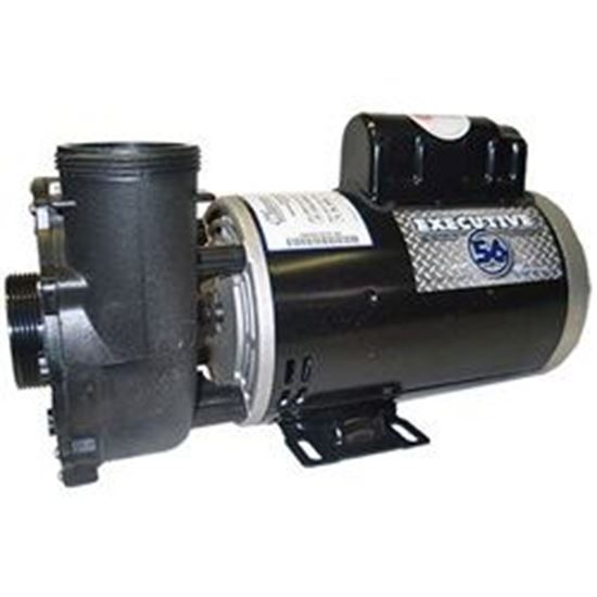 Picture of Pump Waterway Executive 56 4.0Hp 230V 12.0/4.4A 2- 3721621-1D