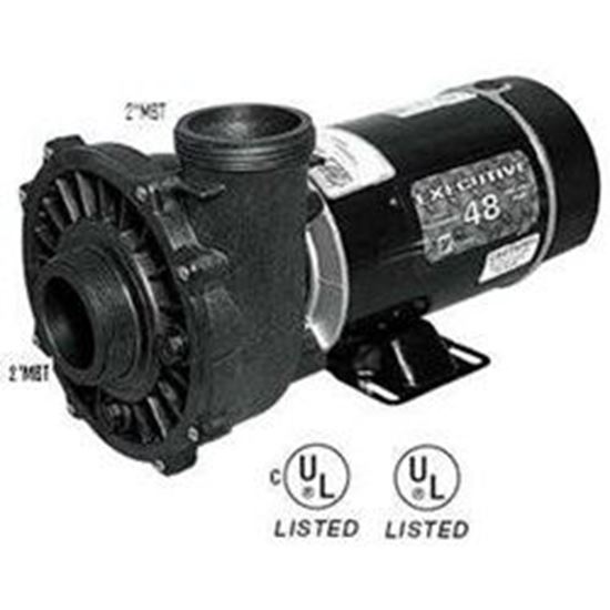 Picture of Pump: 4.5Hp 230V 60Hz 2-Speed 48 Frame Executive 3421821-1A