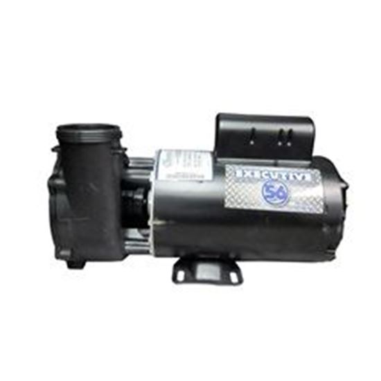 Picture of 5 Hp Waterway Executive Spa Pump 1 Speed 230V 3712021-1D