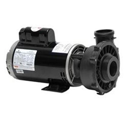 Picture of 5 Hp Waterway Executive Spa Pump 2 Speed 230V 3722021-13