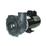 Picture of 5 Hp Waterway Executive Spa Pump 2 Speed 230V 3722021-1D