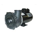 Picture of Pump Waterway Executive 56 5.0Hp 230V 16.4/4.8A 2- 3722021-1D