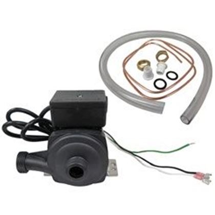 Picture of  Jacuzzi Spa Pump 1 Speed 230V 3/4" Barb 6000-125Rk