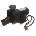 Picture of Bath Pump Balboa Gemini Plus Ii 1.5Hp 115V 12.5A 1 0060F88C