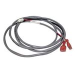 Picture of Pressure Switch Cable Balboa 56" W/ 2 Pin "Jst" Style 21223