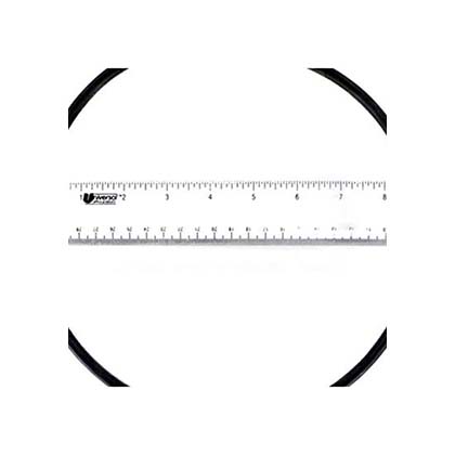 Picture of O-Ring Pentair IntelliFloXF/IntelliProXF Seal Plate 351446