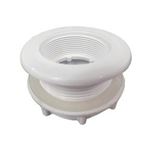 Picture of Wall Fitting Filter Waterway 2"Fpt W/Gasket & Lock R 400-9130