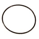 Picture of O-Ring, Filter Lid, 5-7/8"Id X 6-1/4"Od X 3/16" Cross S 805-0360