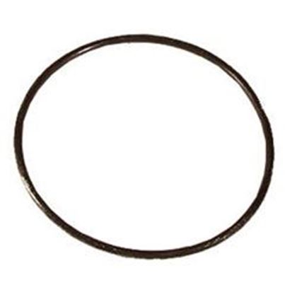 Picture of Waterway Filter Lid O-Ring 805-0360