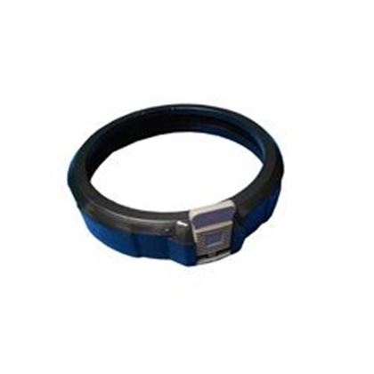 Picture of Waterway Filter Lock Ring W/Gray Tab 500-1000