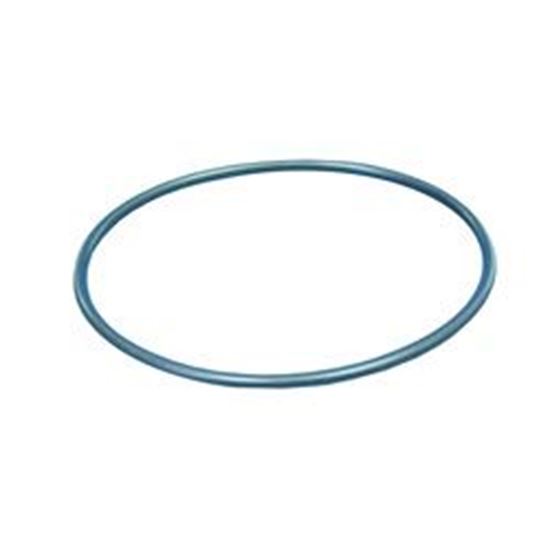 Picture of O-Ring, Filter Lid, 5-7/8"Id X 6-1/4"Od X 3/16" Cross S 568-360