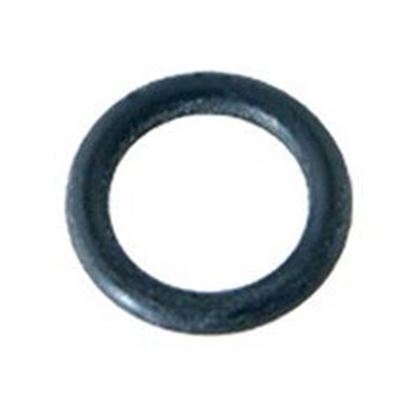 Picture of Rainbow Filter Vent O-Ring 172221