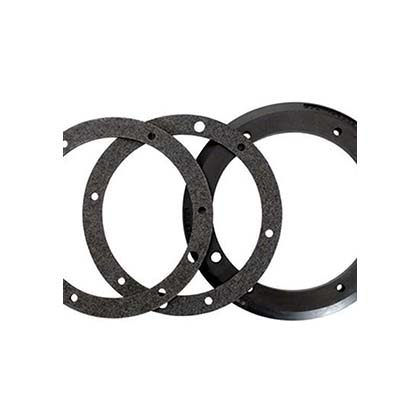 Picture of Light Niche Gasket Kit Pentair AquaLight w/Gasket SS 79207900