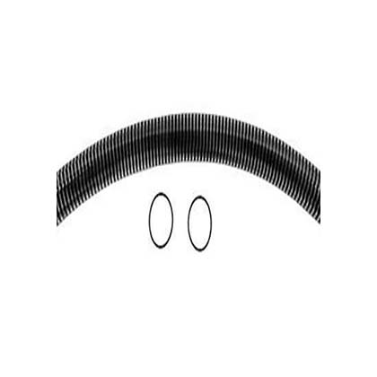 Picture of Hose Assembly Pentair Sand Dollar/Sta-Rite Crystal-Flo 155710