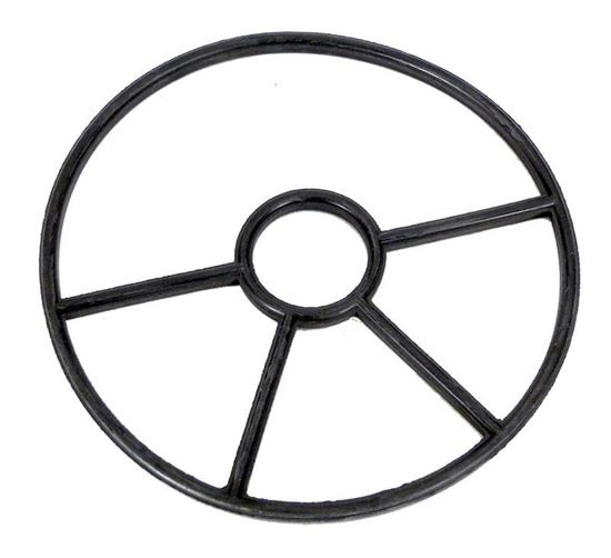Picture of Spider Gasket Ast19028R0204