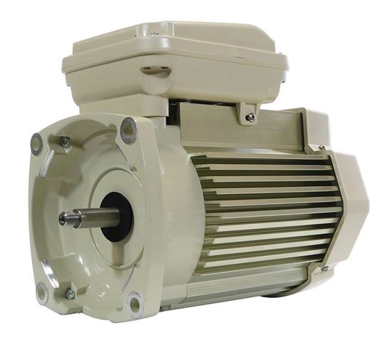 Picture of Motor 5Hp 3 Phase 230/460V Almond 354813S