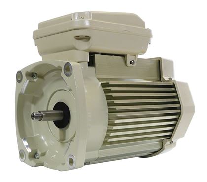 Picture of Motor Pentair WFXF 5.0hp 3PH TEFC 208-230/460v Almond 354813S