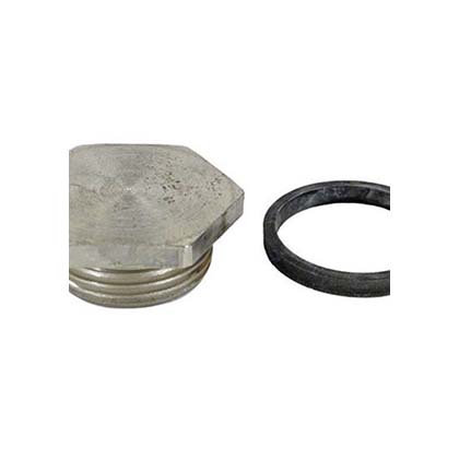 Picture of Element Plug W/Gasket Czxelp7622